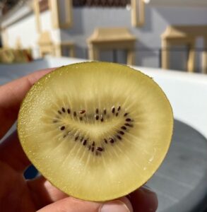 Kiwi met wonderlijk hart in het midden